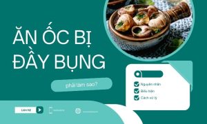 ăn ốc bị đầy bụng - Nguyên nhân khoa học khiến bạn bị đầy bụng sau khi ăn ốc