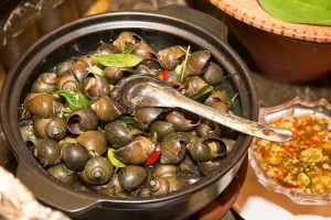ăn ốc bị đầy bụng phải làm sao - Nguyên nhân khoa học khiến bạn bị đầy bụng sau khi ăn ốc