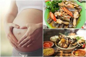các loại ốc bà bầu nên ăn - 1. Các loại ốc mẹ bầu không nên ăn
