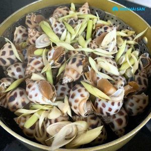 cách hấp ốc hương - Nguyên liệu chuẩn bị cho món ốc hương hấp sả gừng