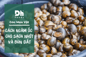 cách ngâm ốc nhanh sạch - Tại sao cần ngâm ốc trước khi chế biến món ăn?