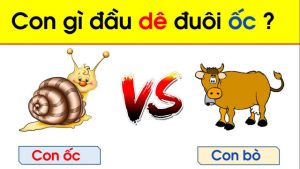 con gì đầu dê đuôi ốc - Nguồn gốc và ý nghĩa câu đố dân gian