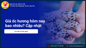 giá ốc hương hôm nay - Cập nhật bảng giá ốc hương tham khảo