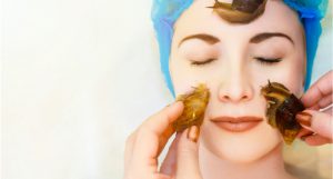 Nguồn gốc của mặt nạ ốc sên