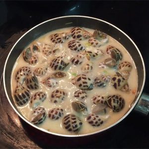 món ngon từ ốc - 1. Bí quyết chọn và sơ chế ốc hương ngon nhất
