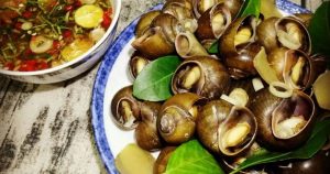 ốc chị lệ cửa bắc - Ấn tượng đầu tiên về không gian và phong cách phục vụ