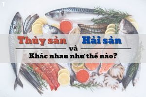 ốc có phải hải sản không - Định nghĩa chính xác về hải sản theo khoa học