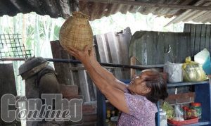 ốc gác bếp biển xanh - Nguyên liệu cần chuẩn bị cho món ăn