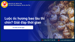 ốc hương hấp bao lâu thì chín - Các yếu tố quyết định thời gian hấp ốc hương