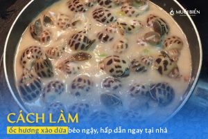 Nguyên liệu làm ốc hương xào dừa