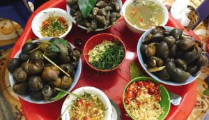 ốc khánh nguyễn bỉnh khiêm - Không gian và trải nghiệm thực tế tại quán
