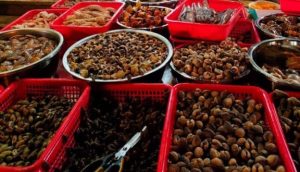 ốc lan hương hải phòng - Ấn tượng đầu tiên về không gian và phong cách phục vụ