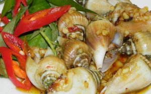 ốc mai quang trung - Ấn Tượng Đầu Tiên Về Khu Phố Ốc Sầm Um