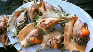 ốc ngon nha trang - Tại sao ốc Nha Trang lại có sức hút mãnh liệt với du khách?