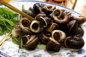 ốc núi đá giá bao nhiều - Các yếu tố quyết định giá ốc núi đá hiện nay