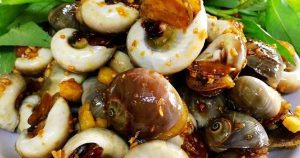 ốc thuý quận 4 - Ấn tượng đầu tiên về không gian và phong cách phục vụ