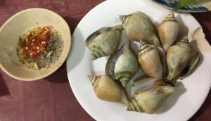 Nguồn gốc và đặc điểm nhận diện của ốc vân chợ bến thành