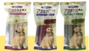 pet shop ốc nhỏ - Không gian trải nghiệm và vị trí của cửa hàng