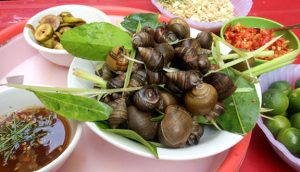 quán ốc gió biển - Ấn tượng đầu tiên về không gian và phong cách phục vụ