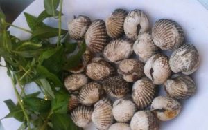quán ốc nguyên phan xích long - Ấn tượng ban đầu về không gian và phong cách phục vụ